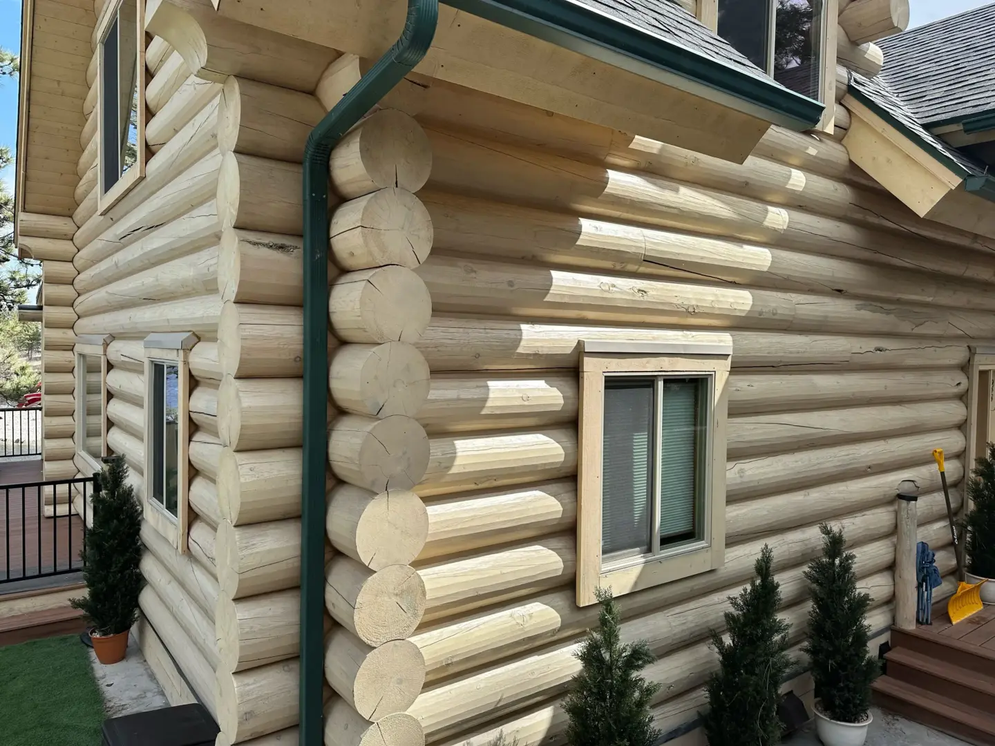 Corner of a wooden log cabin with large rounded logs and a green downspout beside two windows.